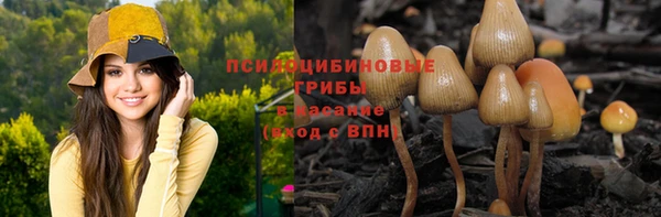 прущие крисы Магас