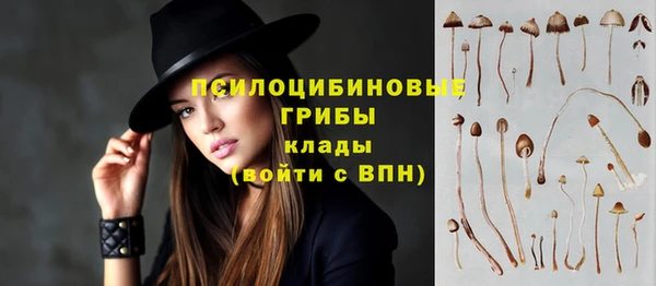 молекула духа Майский