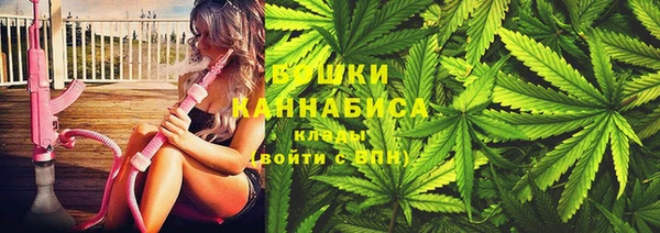 молекула духа Майский