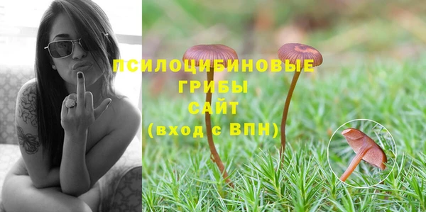молекула духа Майский