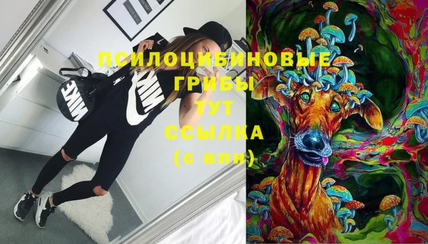 прущие крисы Магас