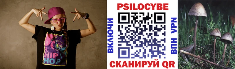 OMG   Волгоград  Псилоцибиновые грибы Cubensis  где найти  